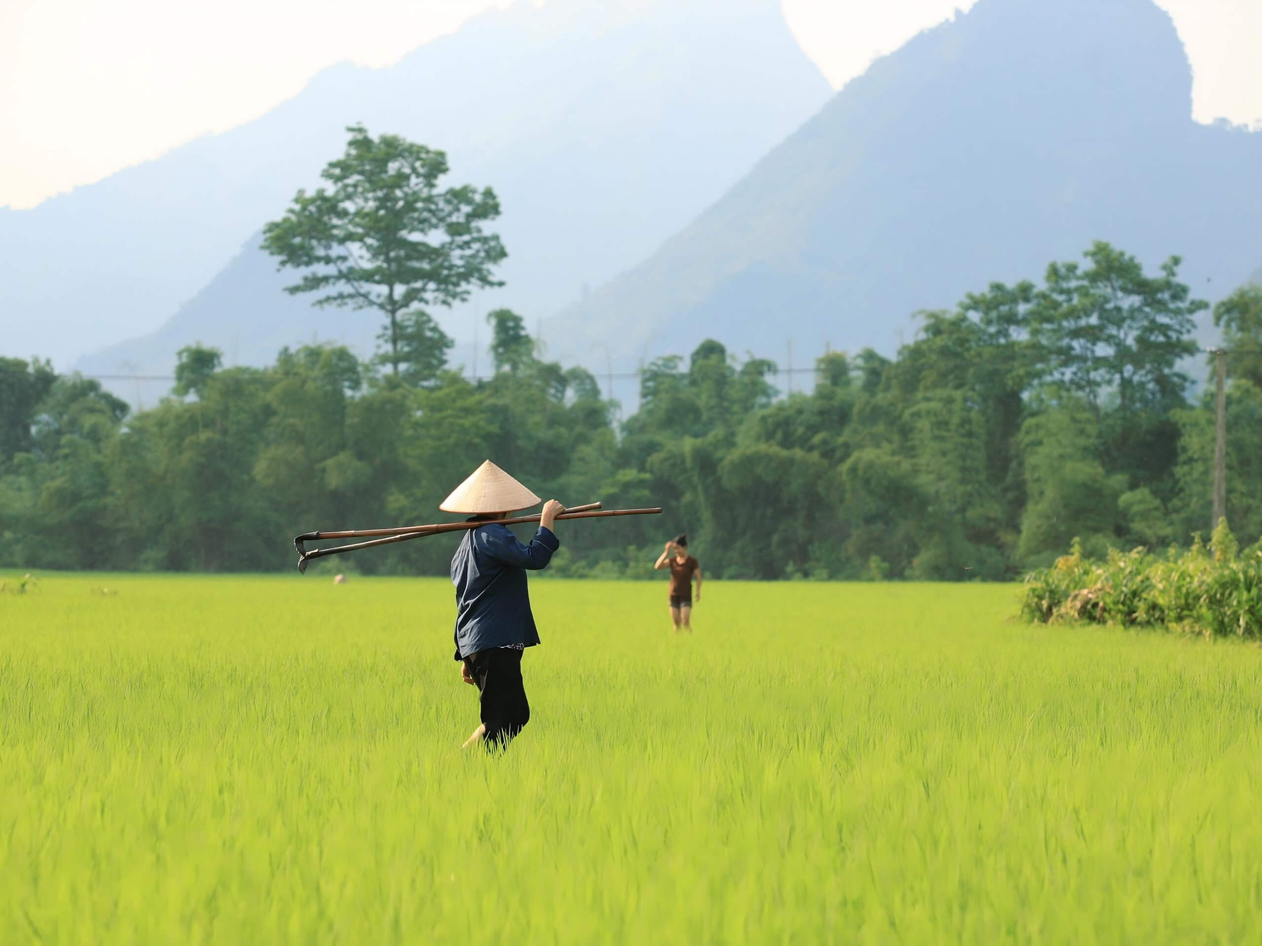 Sapa Hiking Adventure Enchanting Scenery & Culture-5