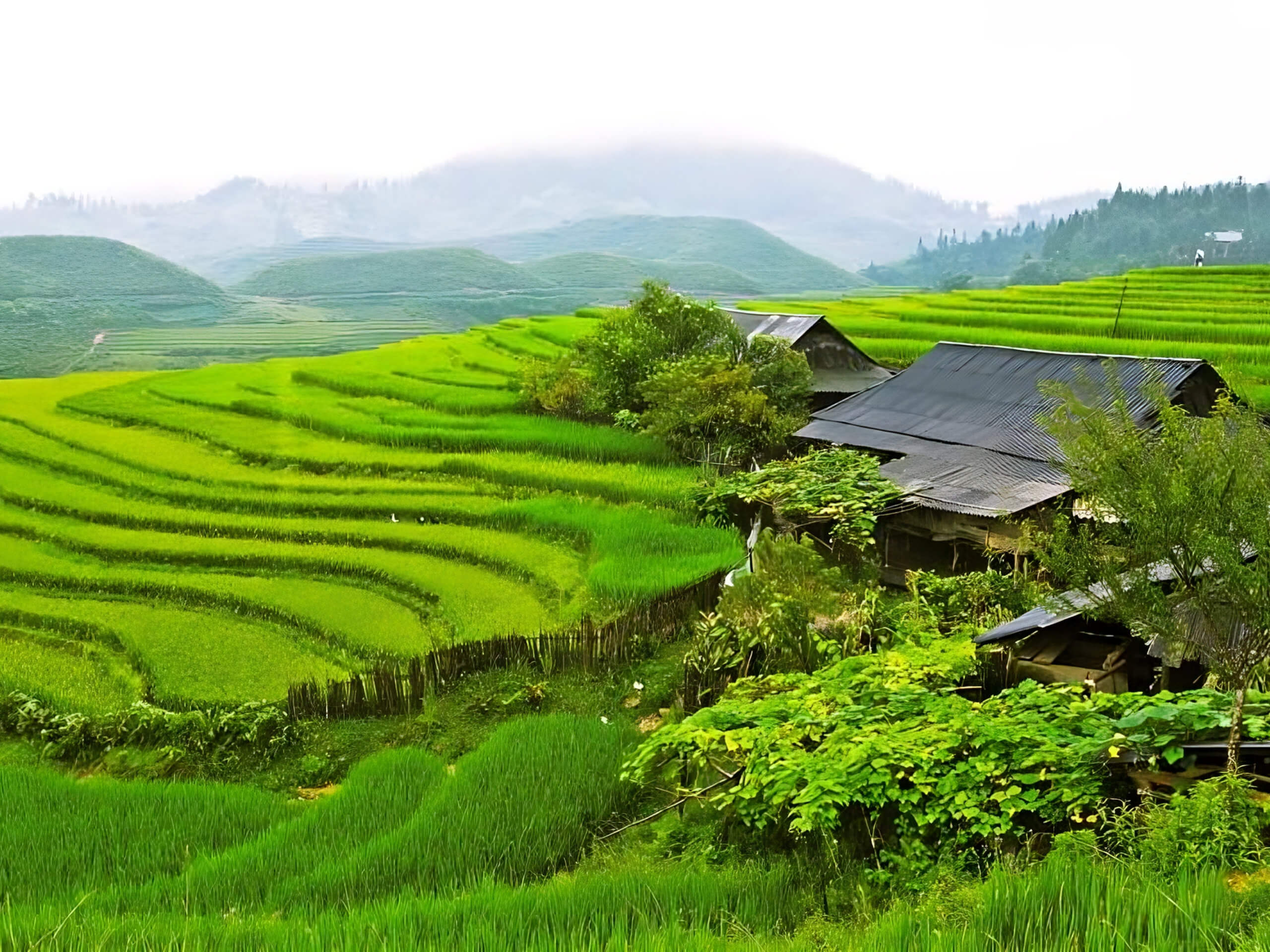 Sapa Hiking Adventure Enchanting Scenery & Culture-9