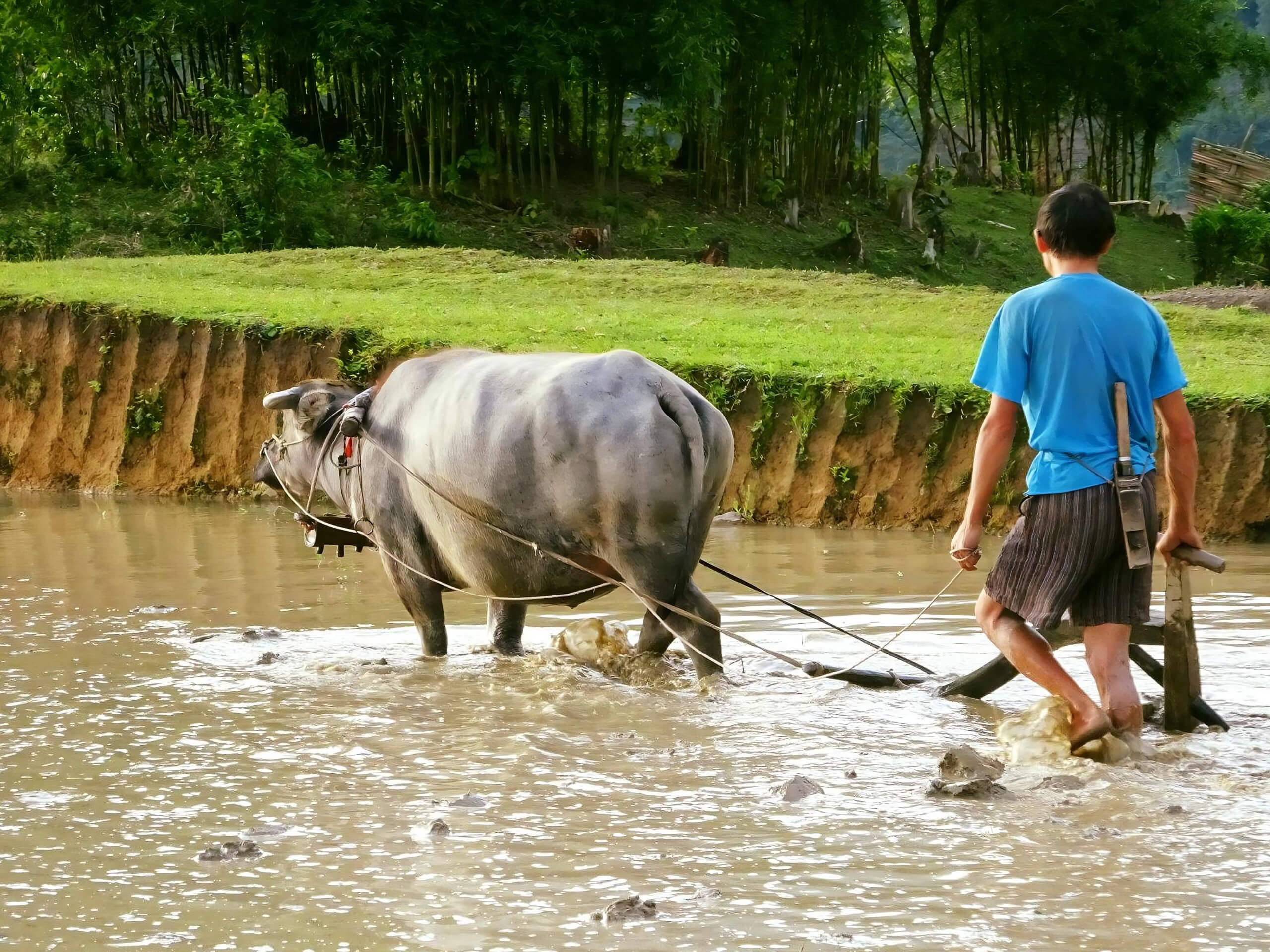 Soft Hiking Adventure in Northern Vietnam-10