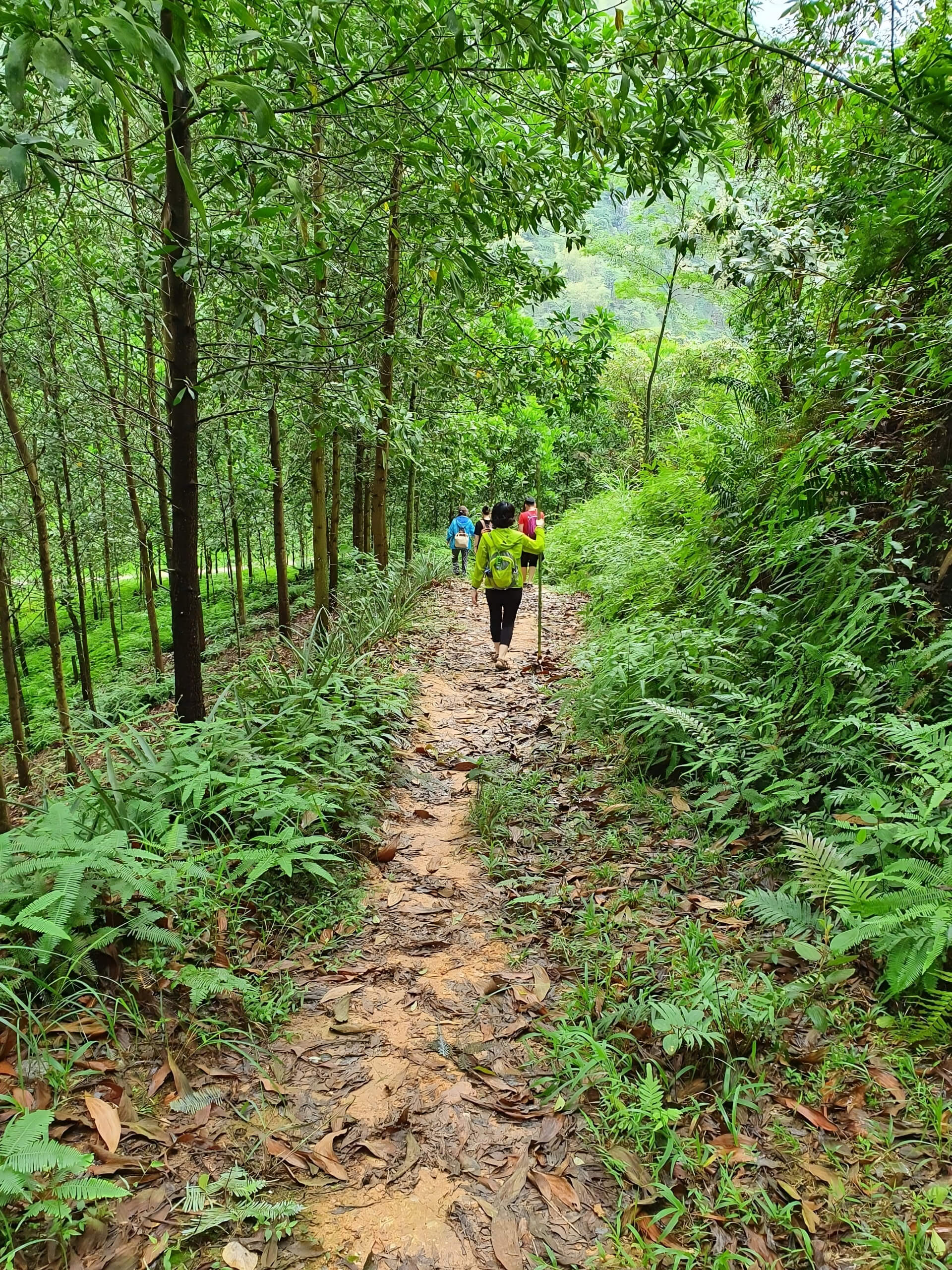 Soft Hiking Adventure in Northern Vietnam-19