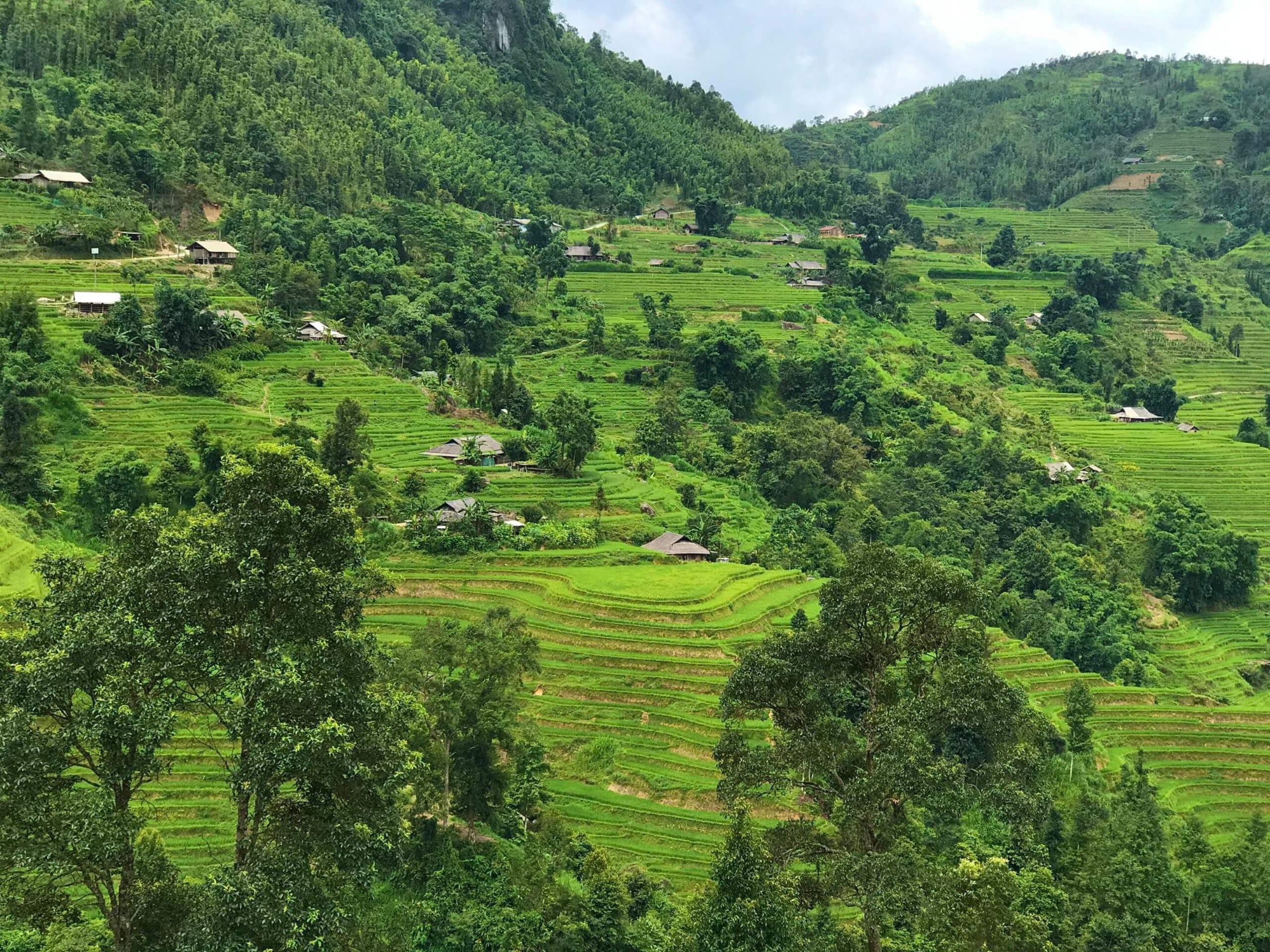 Soft Hiking Adventure in Northern Vietnam-6