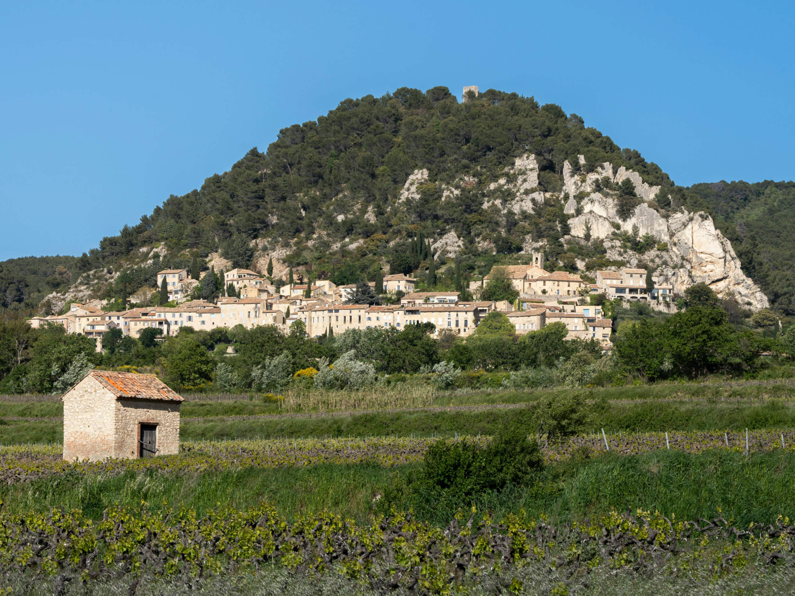 Wine Trails of Provence Tour-2