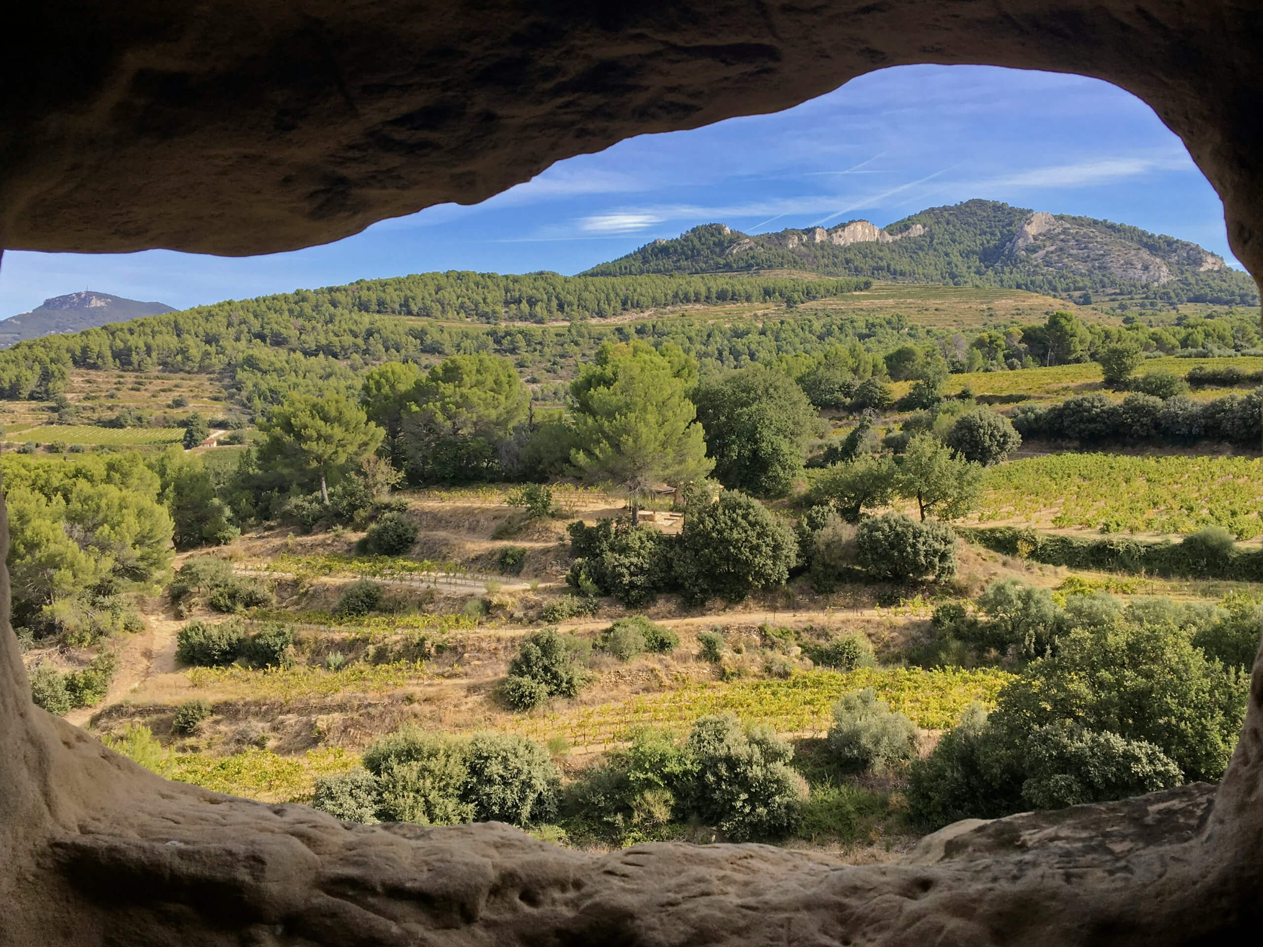 Wine Trails of Provence Tour-3