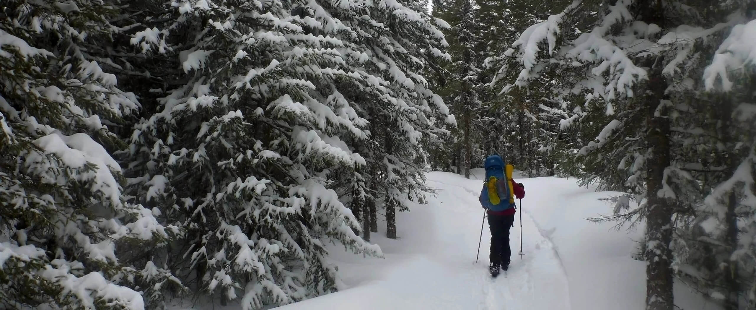 Charlevoix Cross-Country Ski