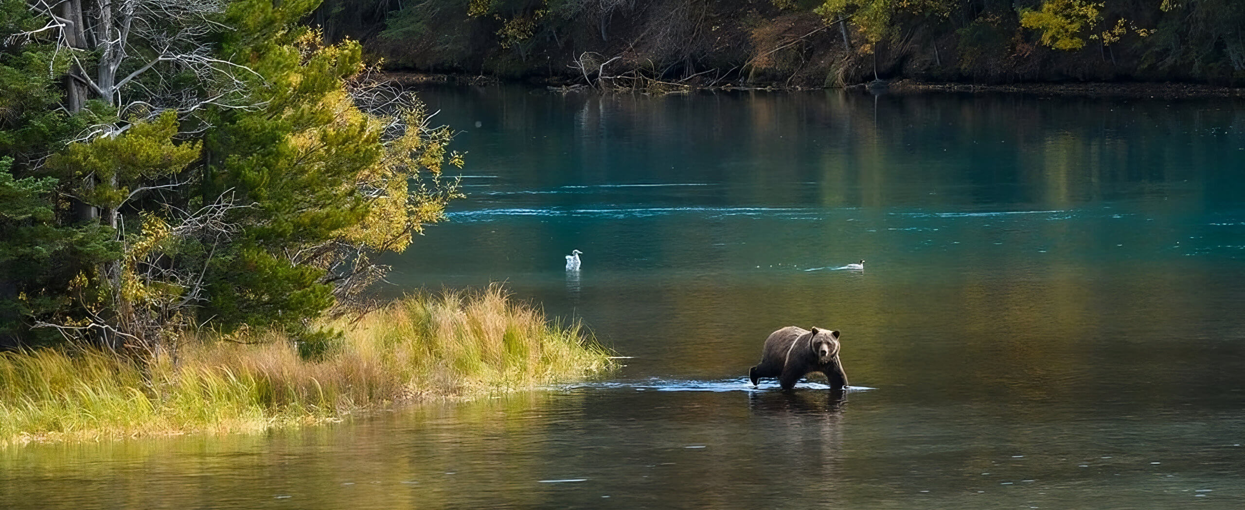 Great Bear Rainforest & Chilcotin Self-Drive Tour