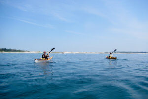 LaHave Islands Kayaking Tour