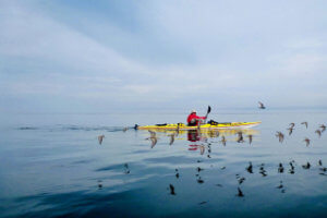 Sea Kayaking the Mingan Archipelago