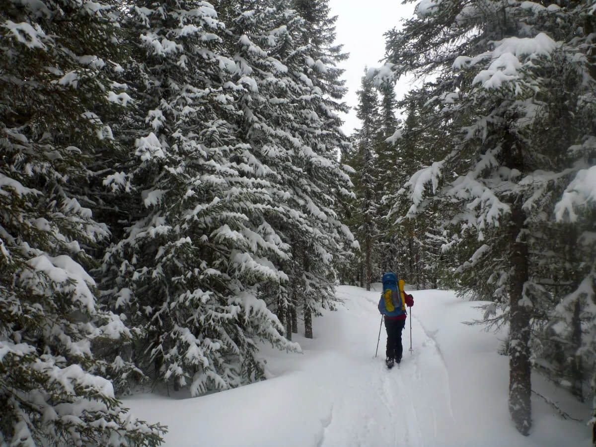 Charlevoix Cross-Country Ski-1