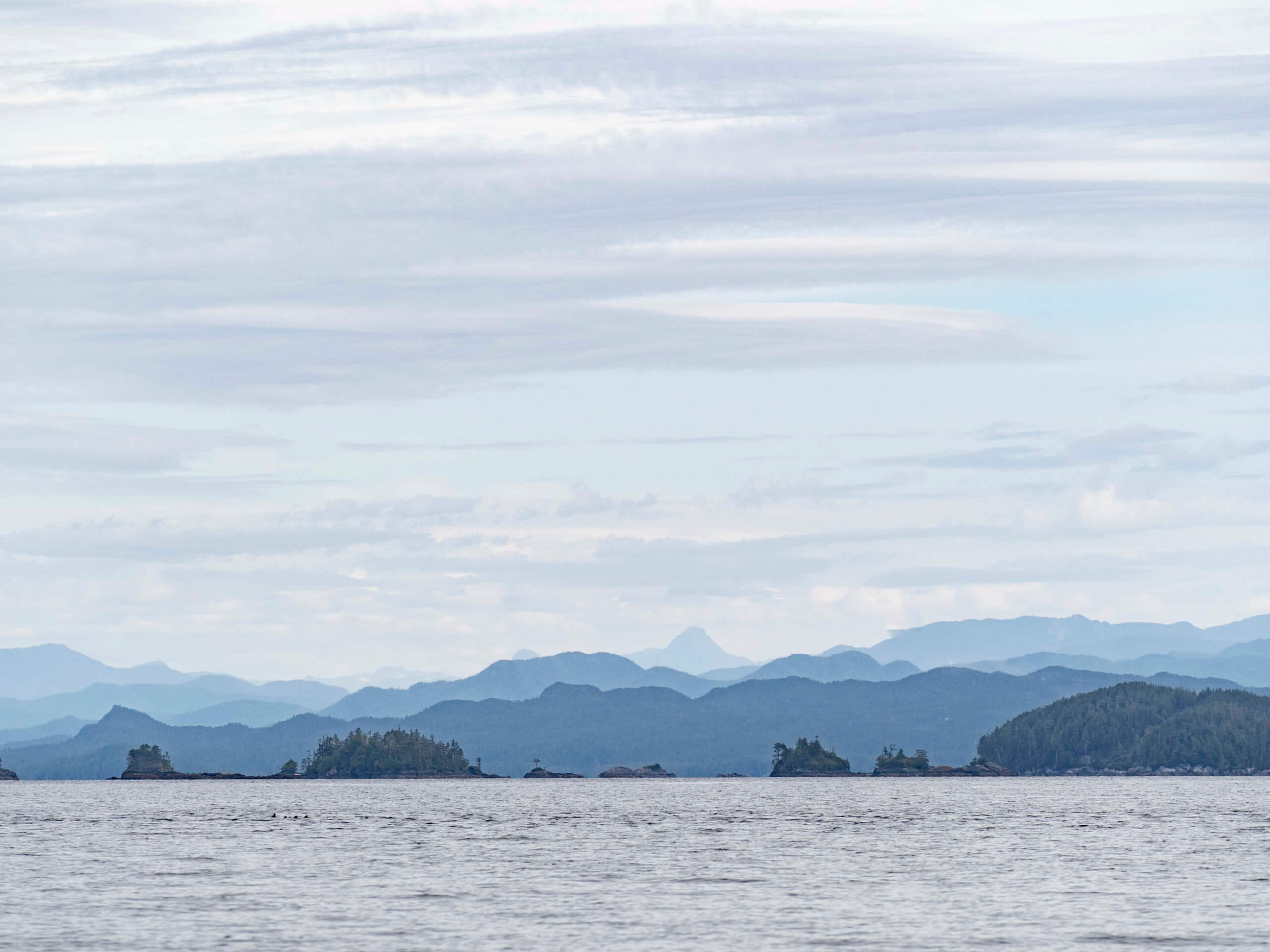 Coastal scenery