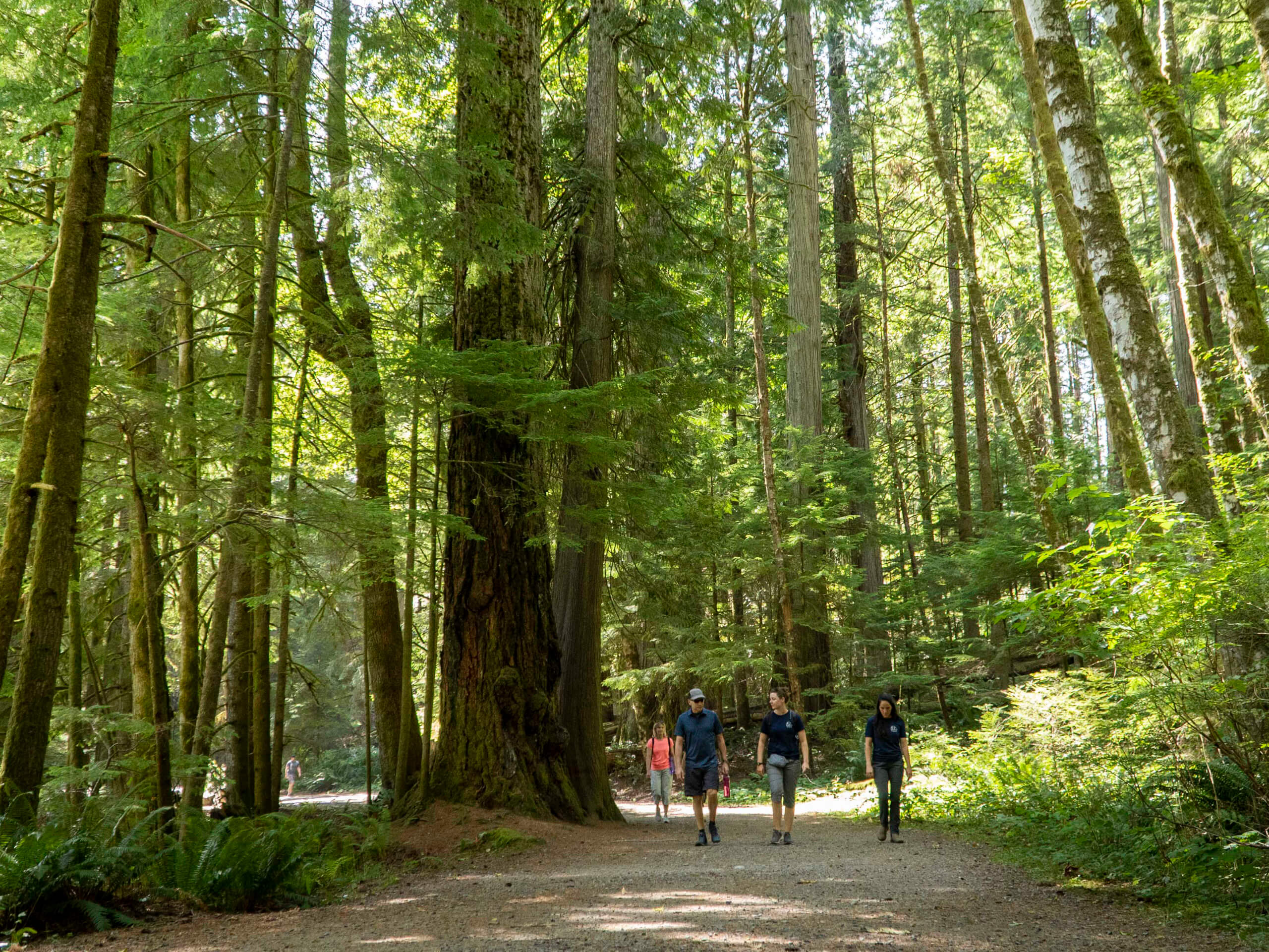 Elk Falls Provincial Park, Campbell River