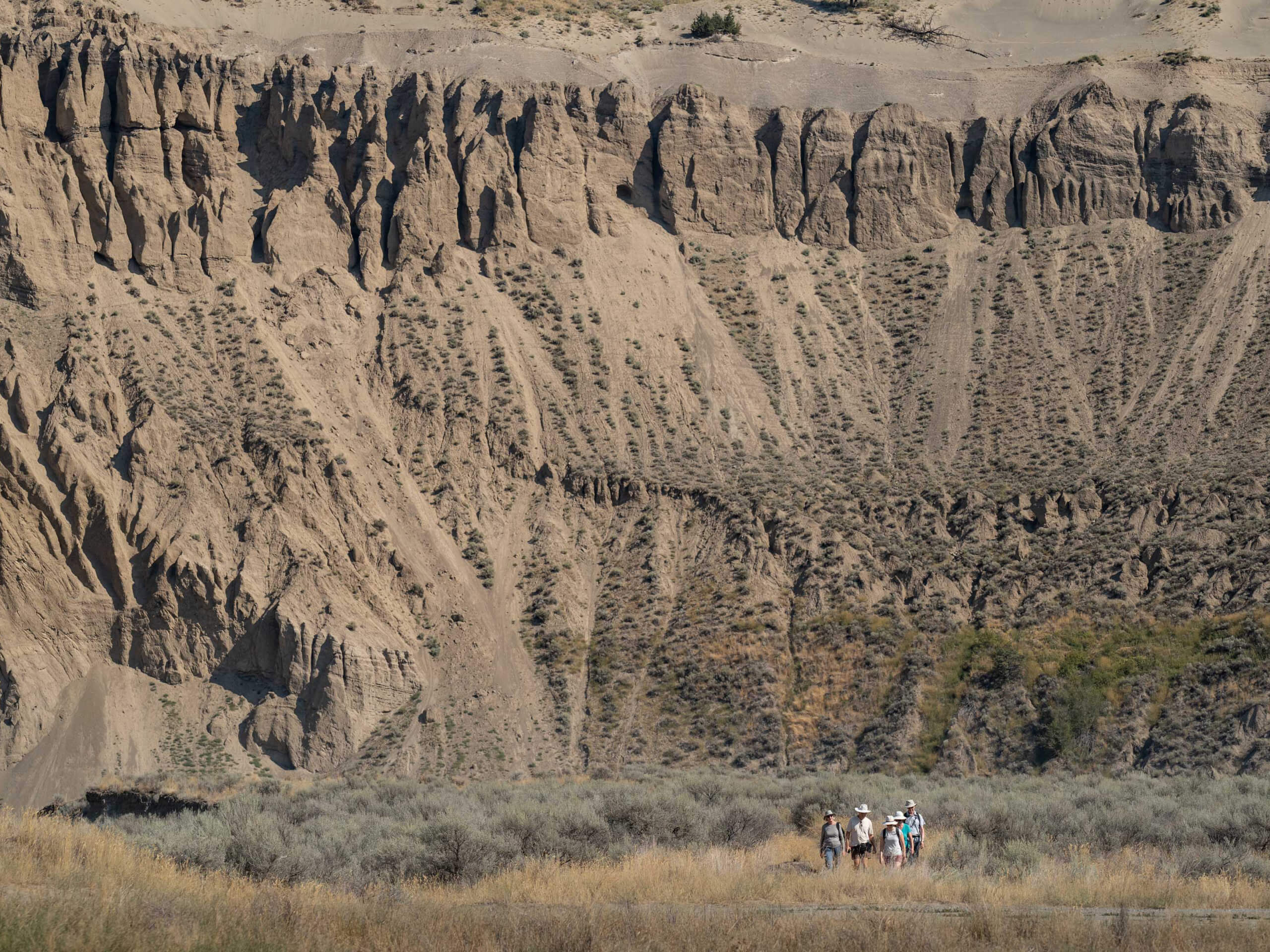 Farwell Canyon