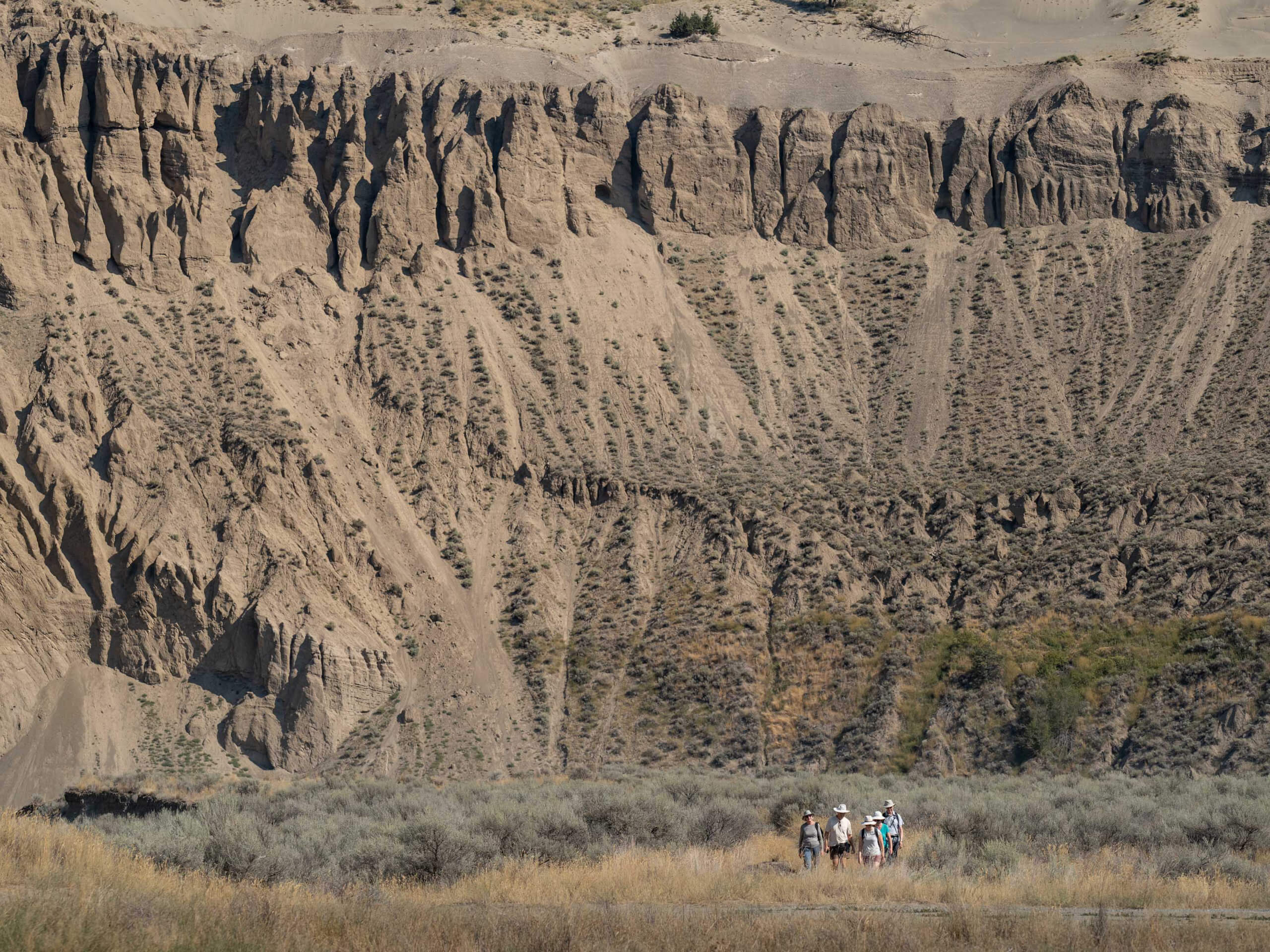 Farwell Canyon