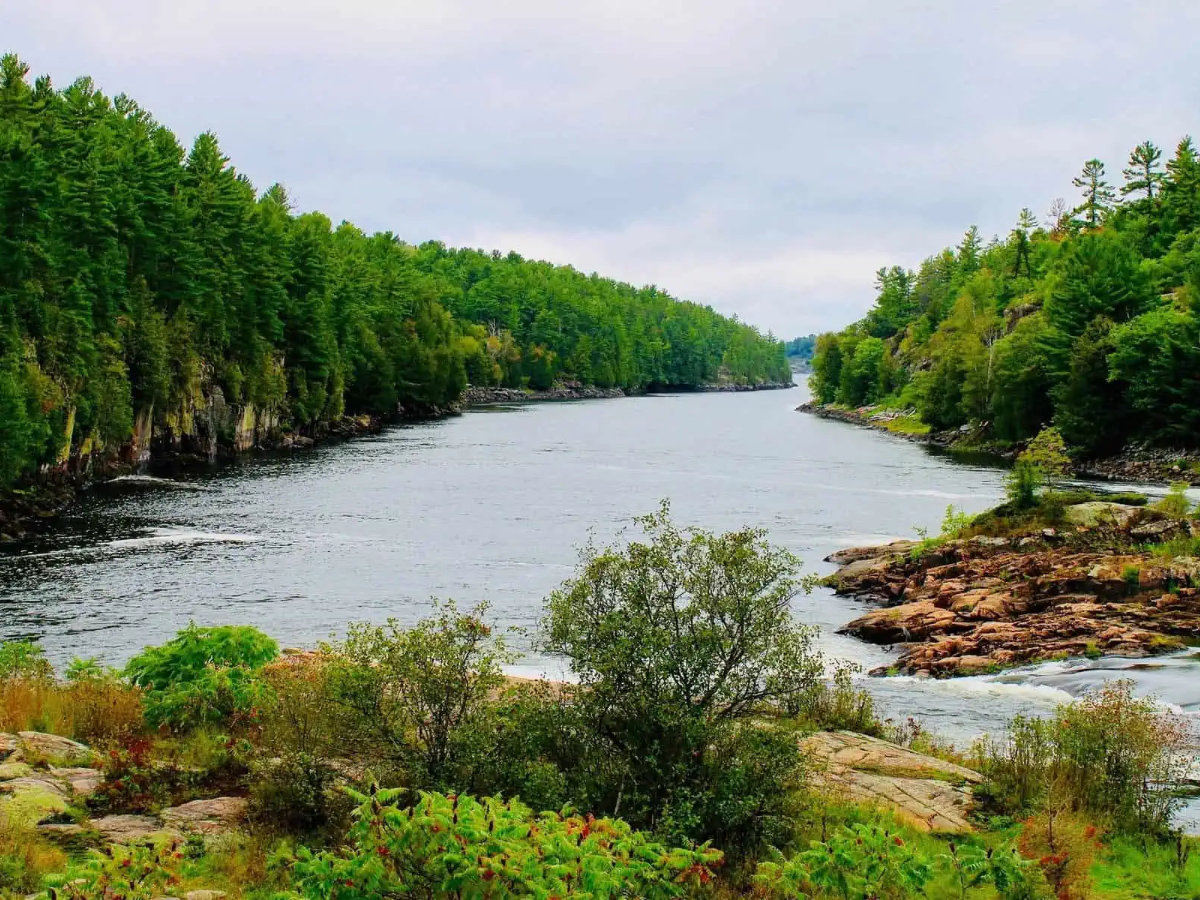 French River Canoe Expedition-3