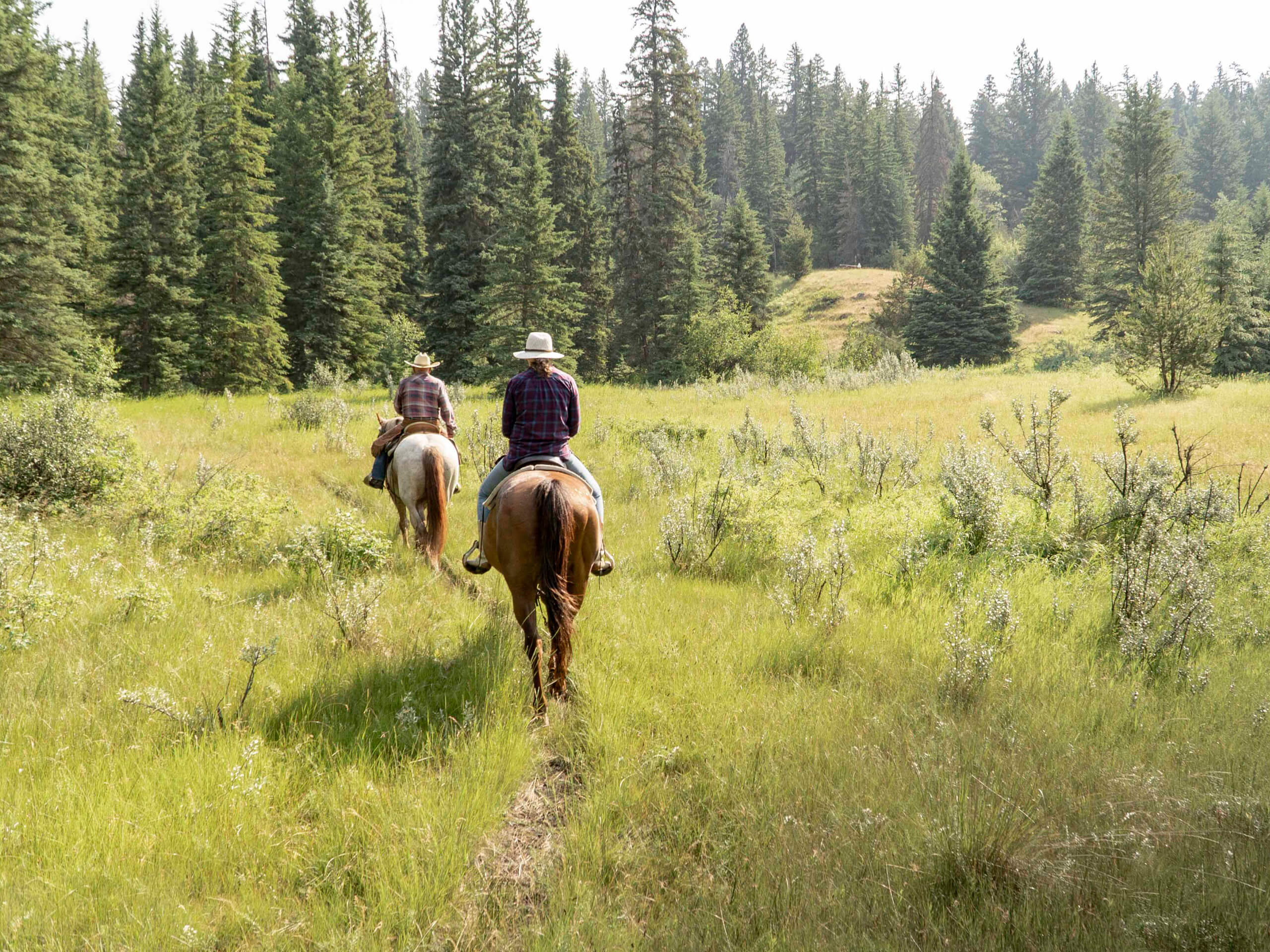 Guest ranch horseback riding