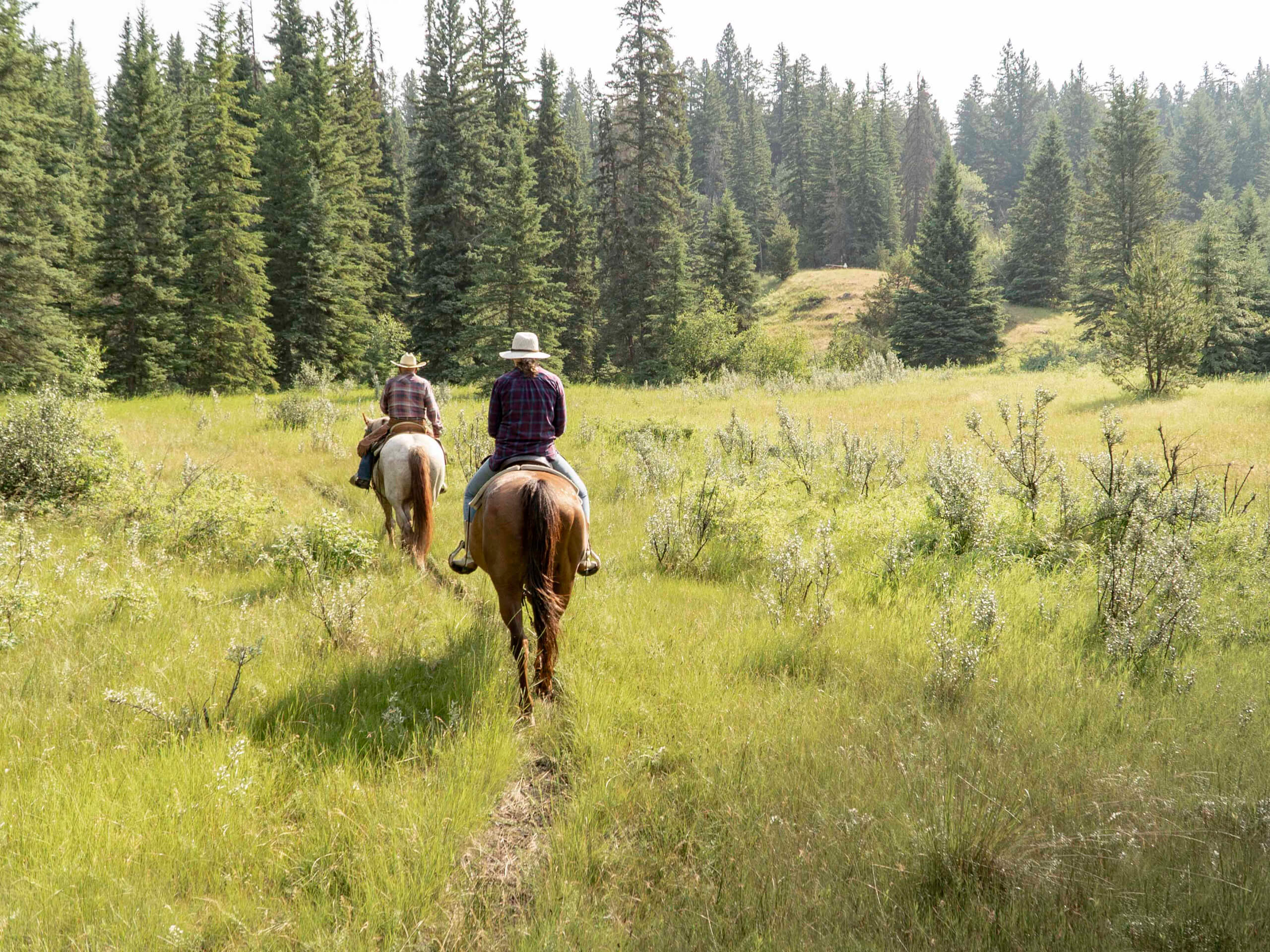 Guest ranch horseback riding