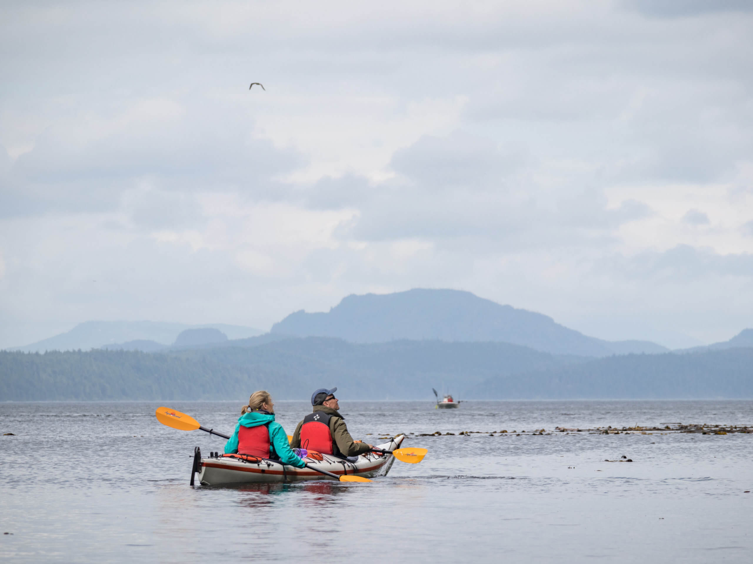 Kayak tour from Telegraph Cove