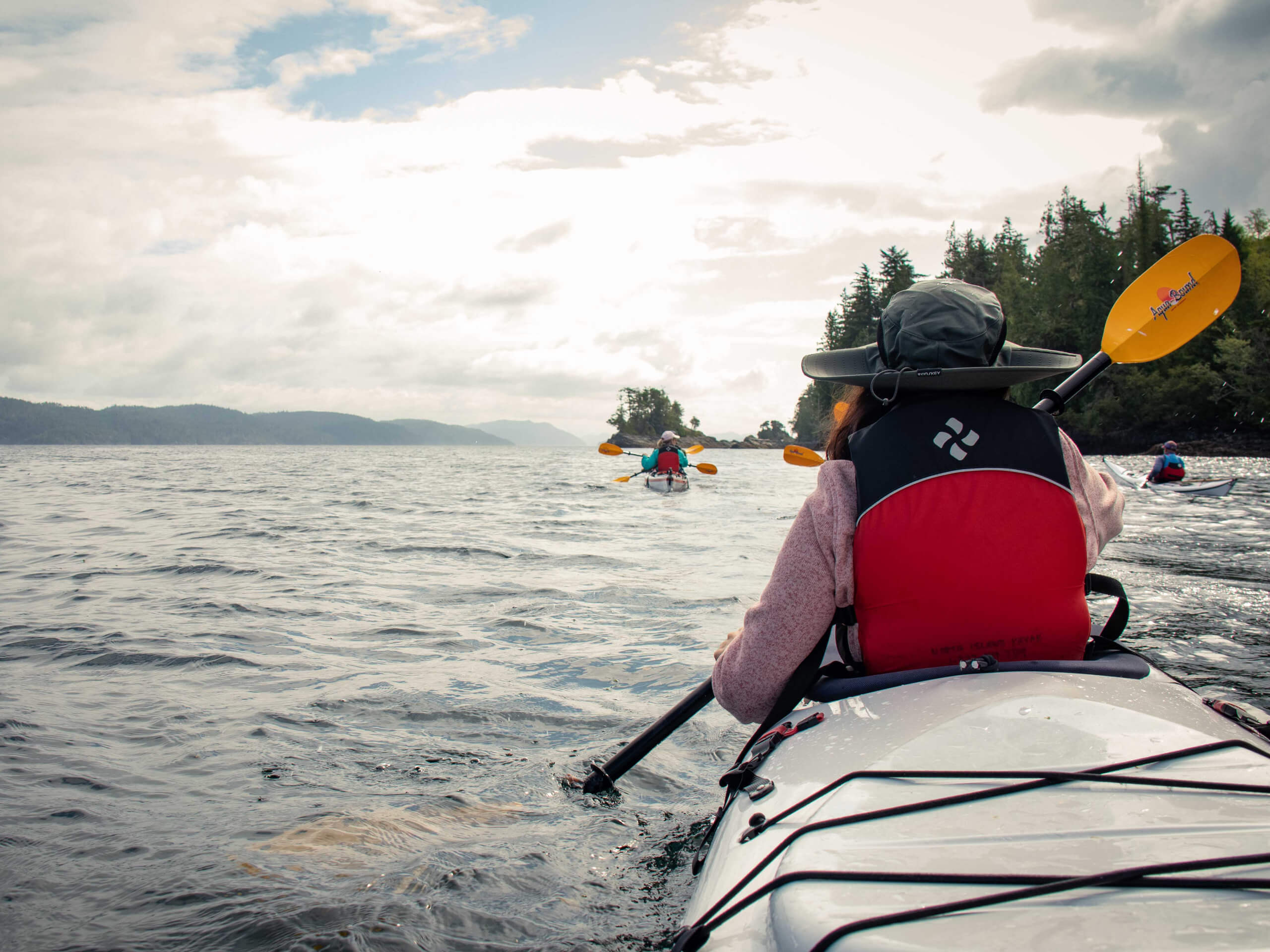 Kayak tour from Telegraph Cove