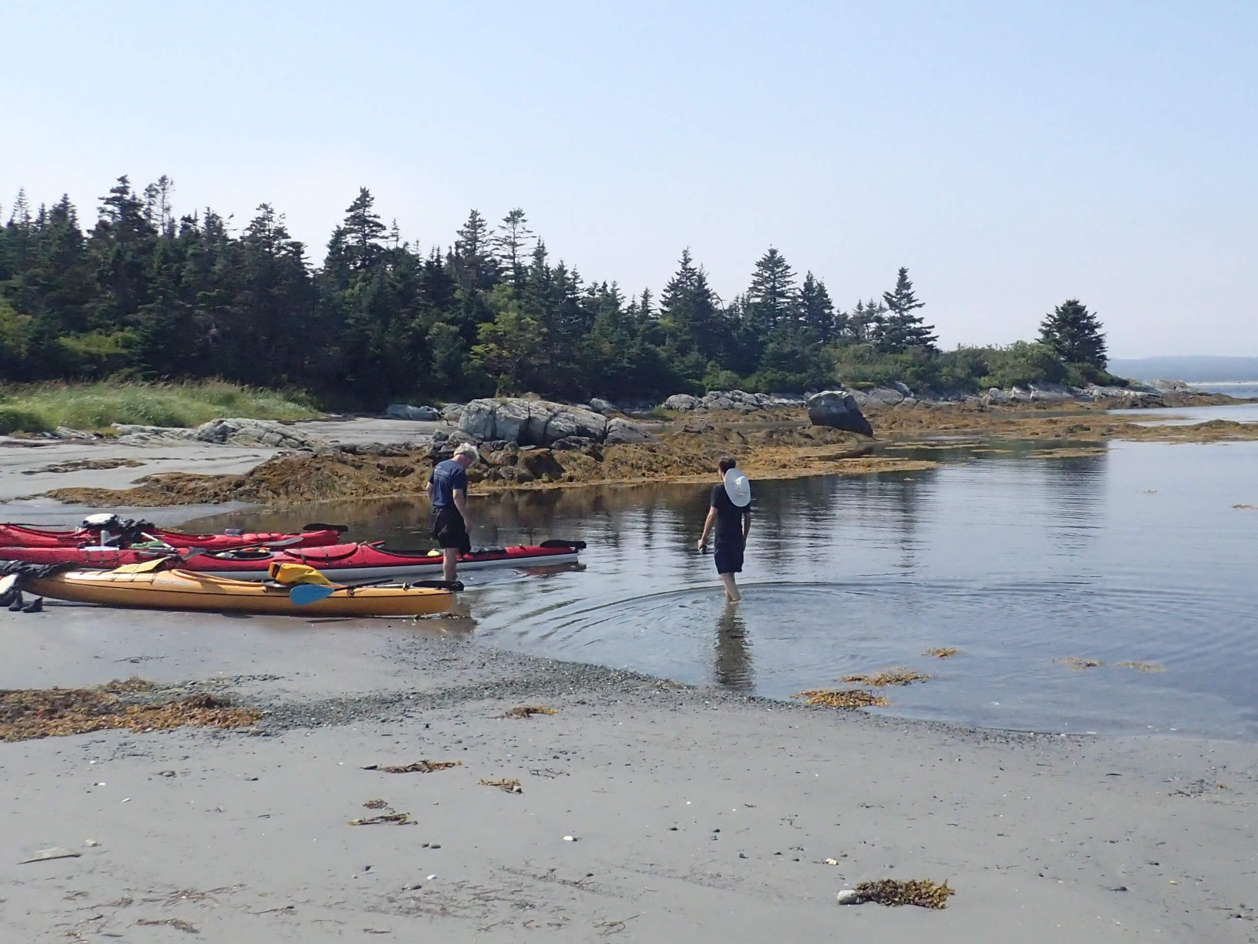 LaHave Islands Kayaking Tour-2