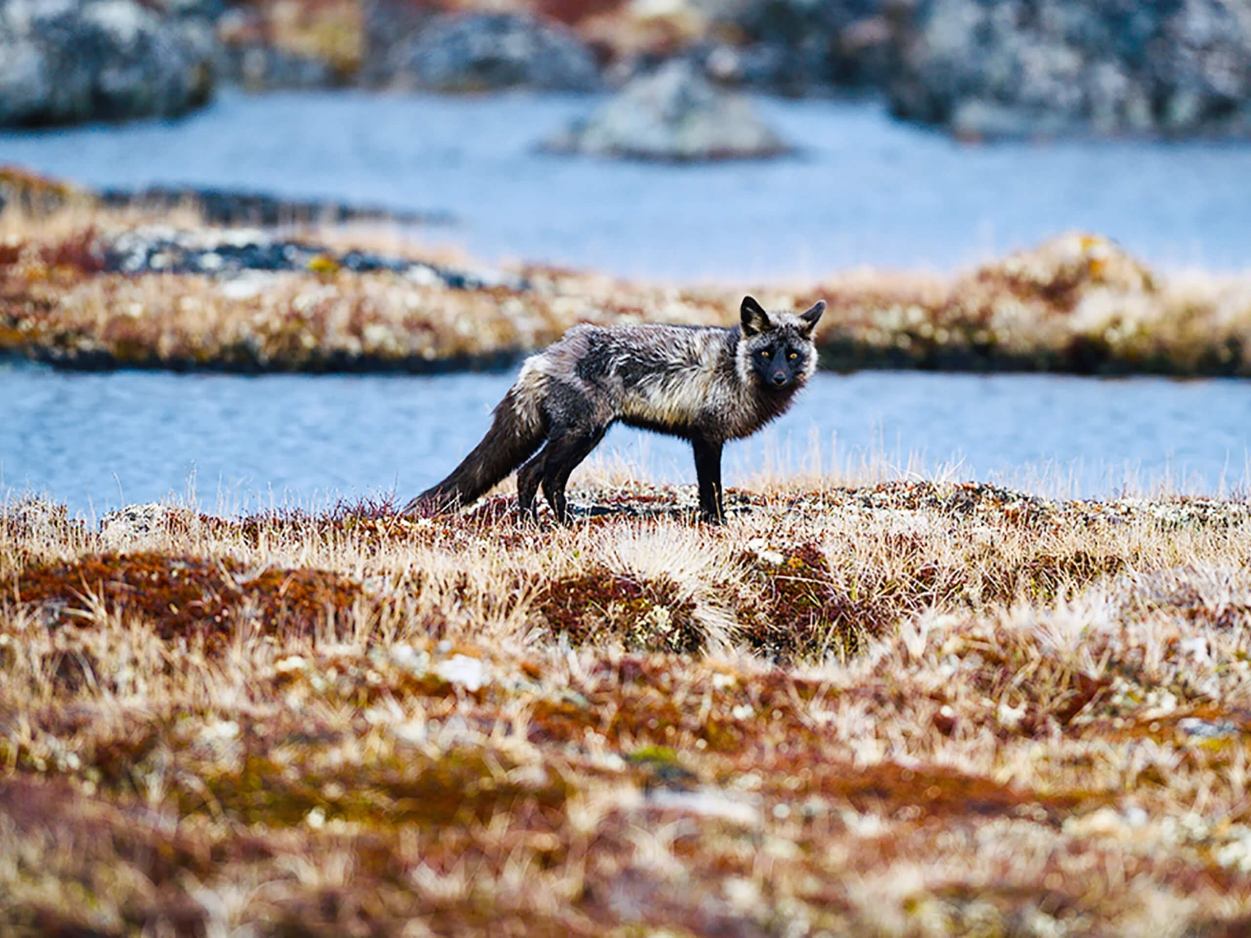 Nunavik Adventure-8