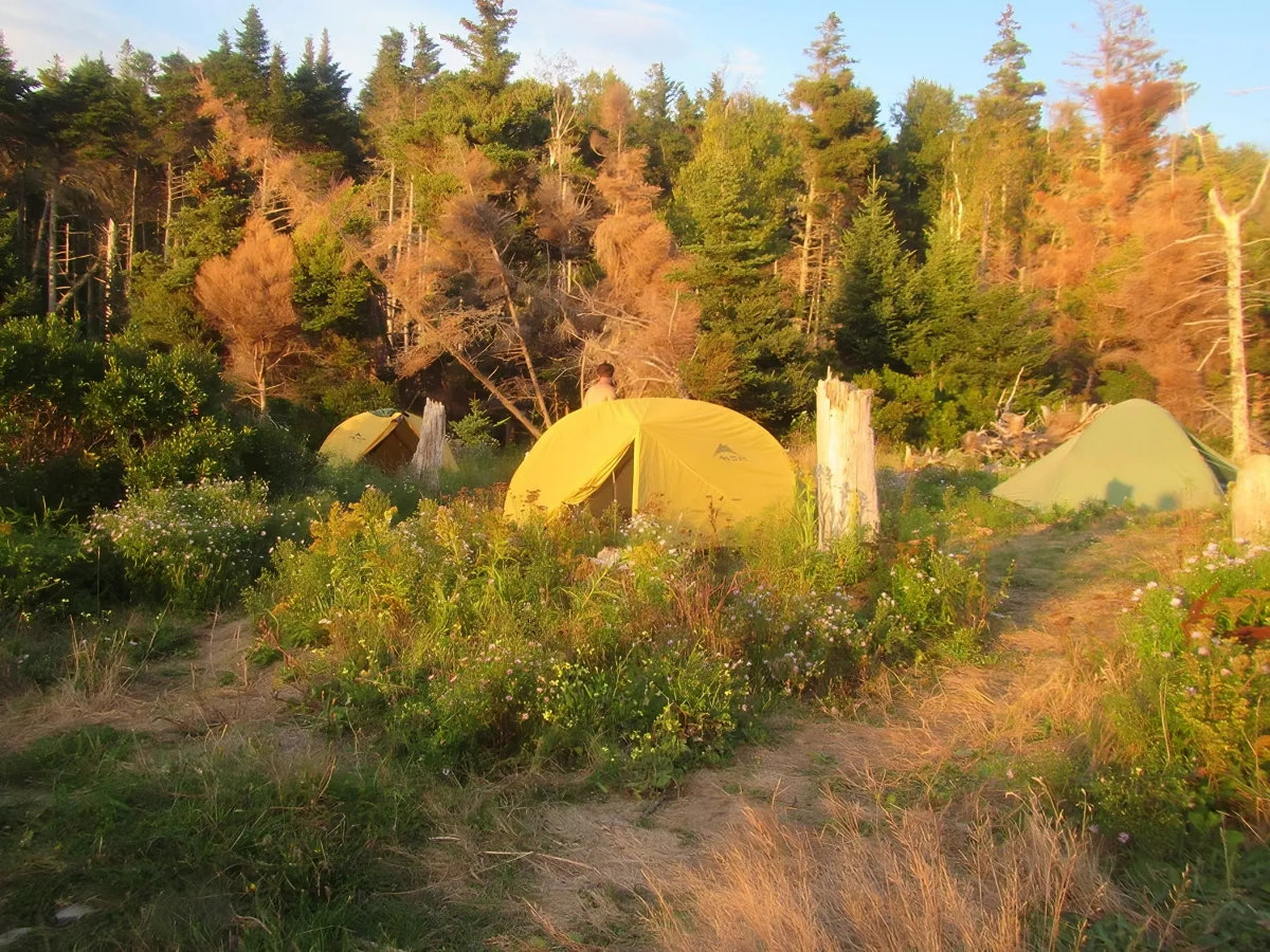 Sea Kayaking in Nova Scotia-5