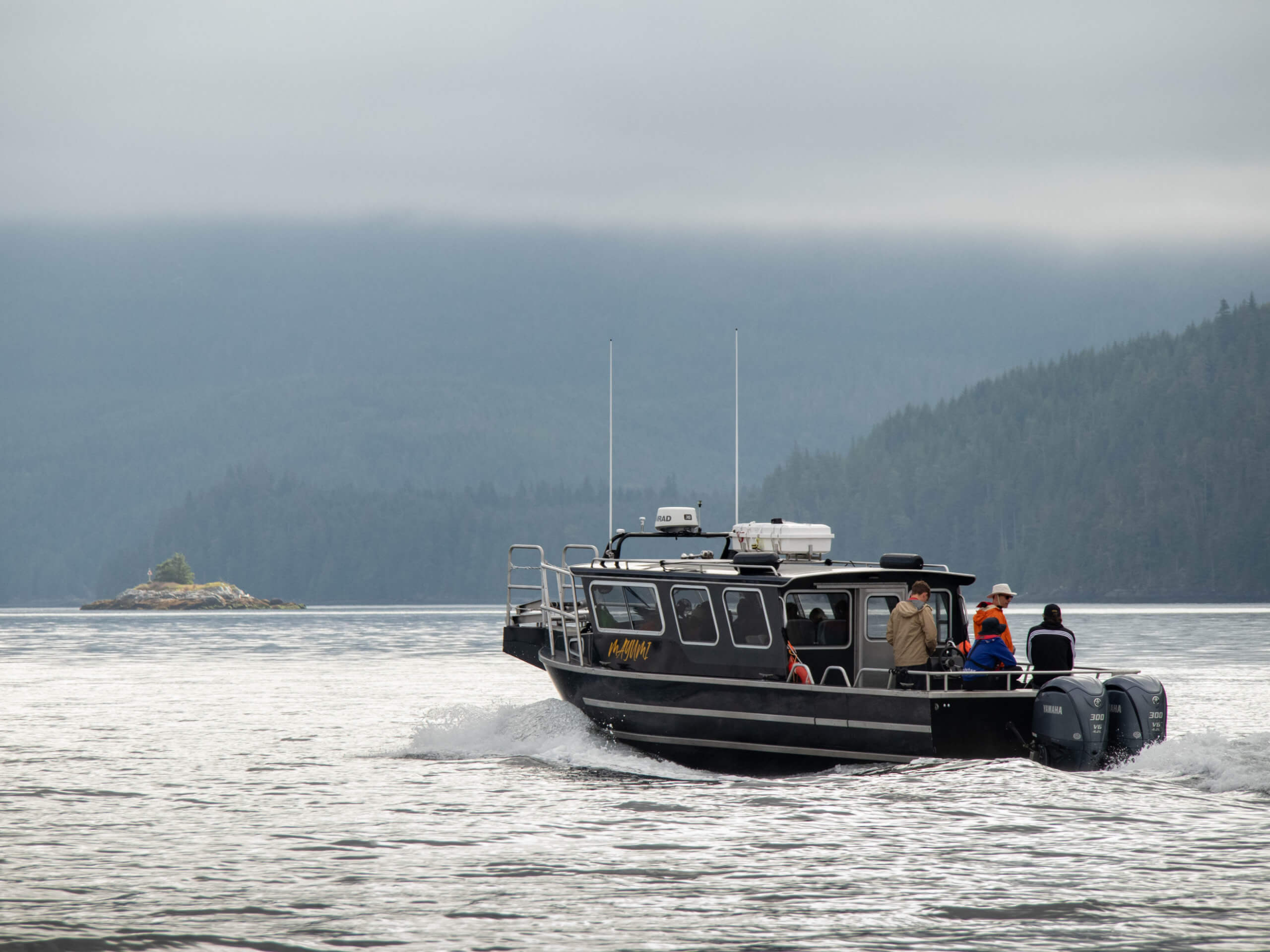 Wildlife viewing tour from Alert Bay