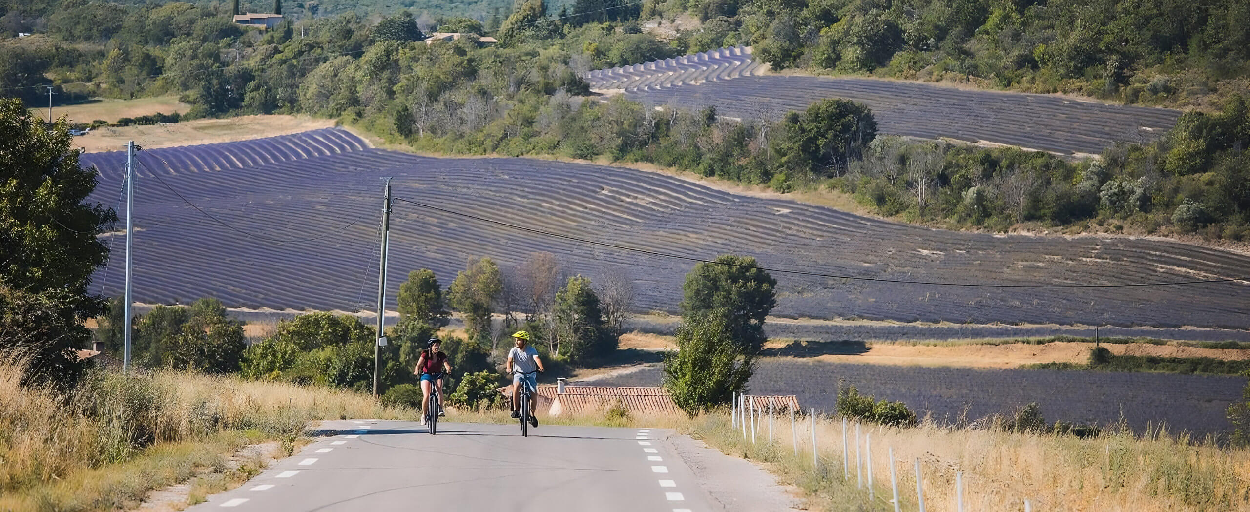 Lavender Roads & Verdon Gorges Adventure