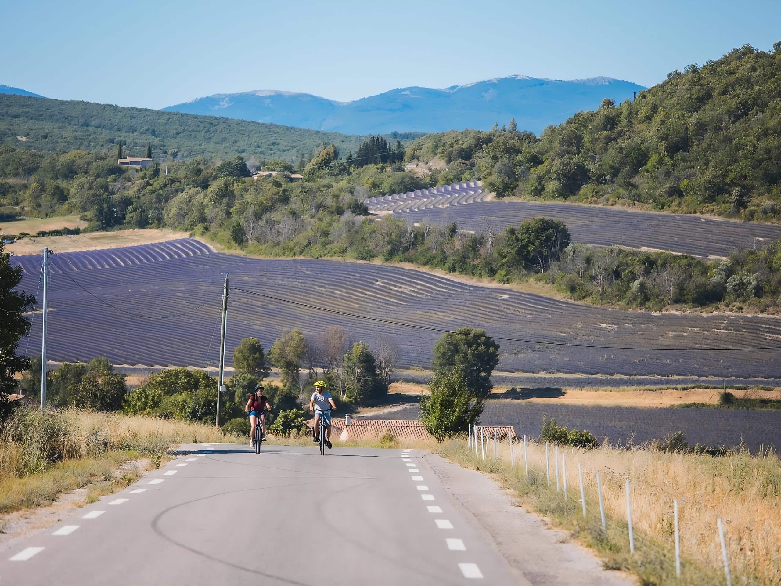 Lavender Roads & Verdon Gorges Adventure