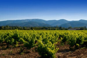 Highlights of Provence Cycling Tour