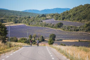 Lavender Roads & Verdon Gorges Adventure