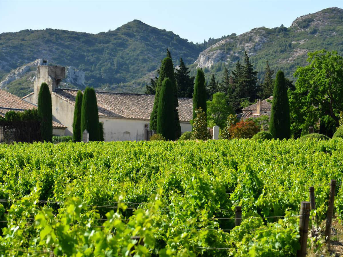 Cycling through Pont du Gard and Alpilles-13