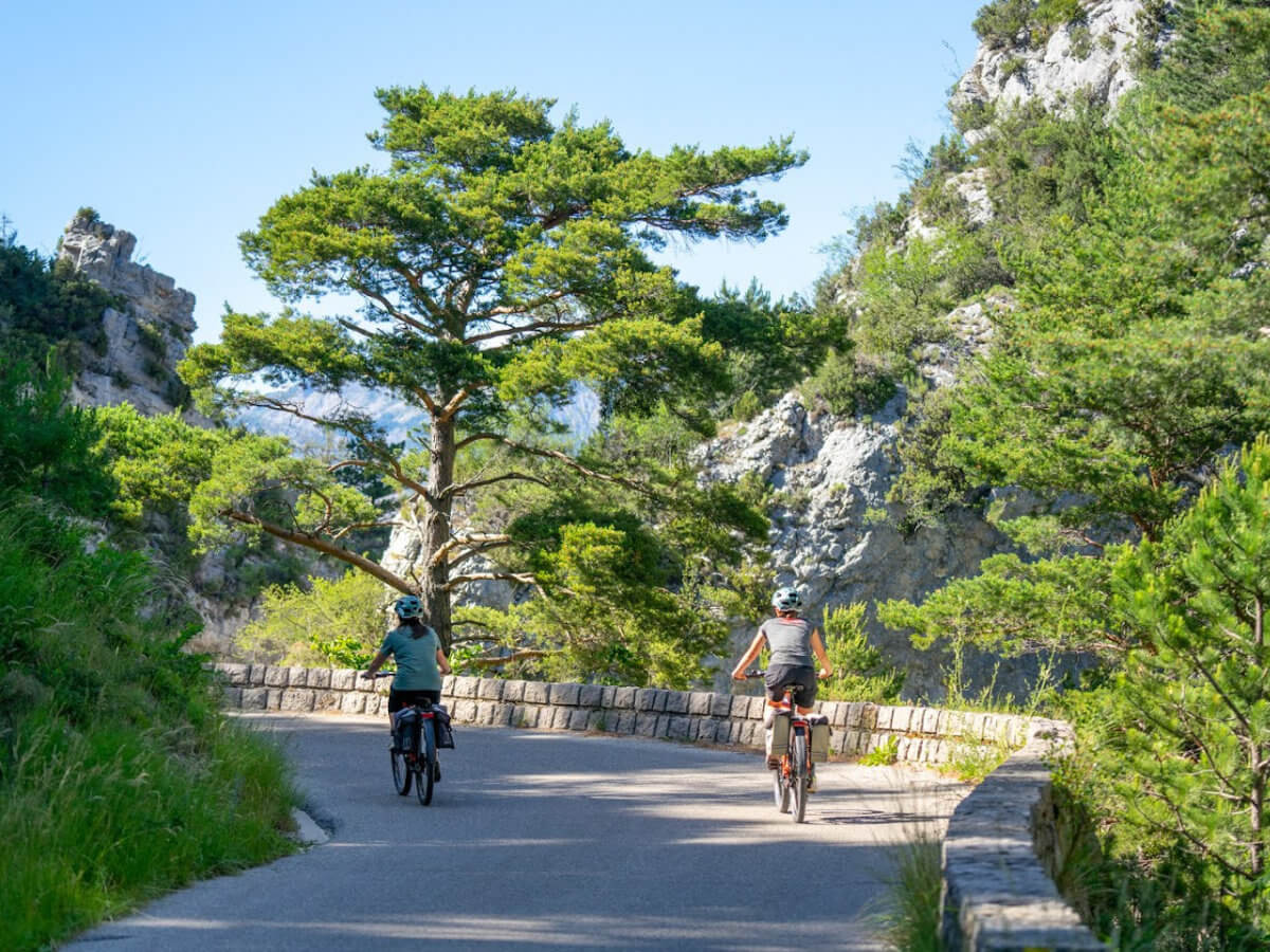 Lavender Roads & Verdon Gorges Adventure-6