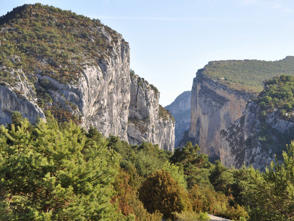 Lavender Roads & Verdon Gorges Adventure-7