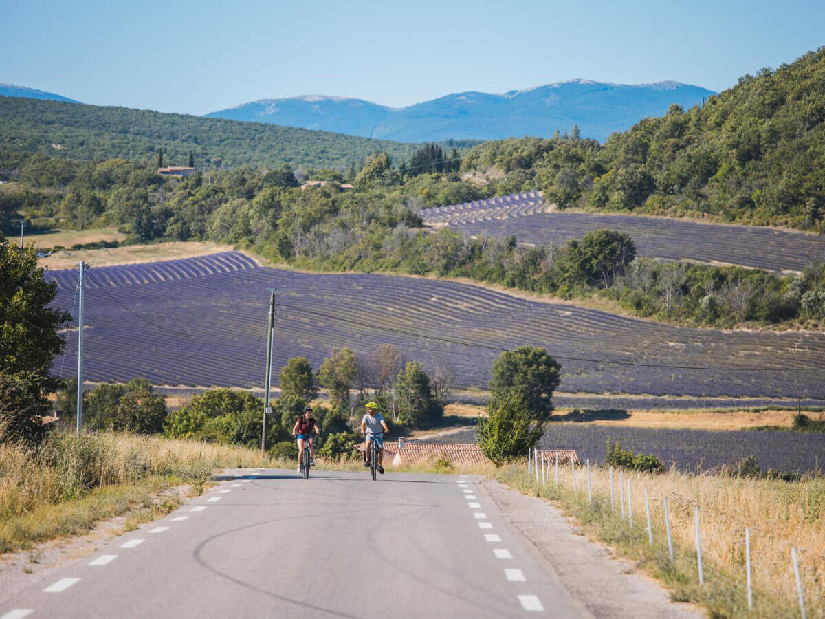 Lavender Roads & Verdon Gorges Adventure-8