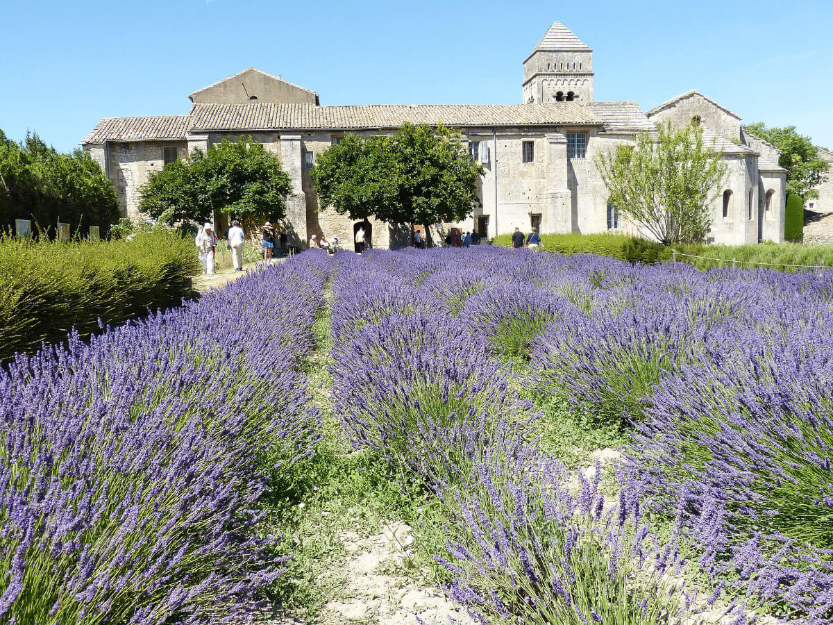 Provence Cycling Adventure Alpilles & Camargue-4